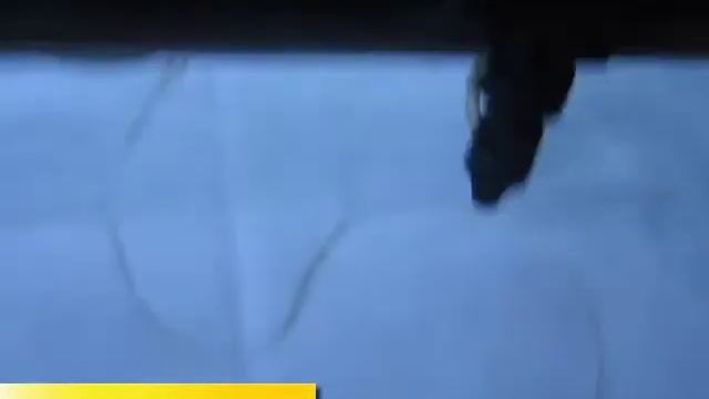 Раскрой меха на лазерном станке смотреть онлайн