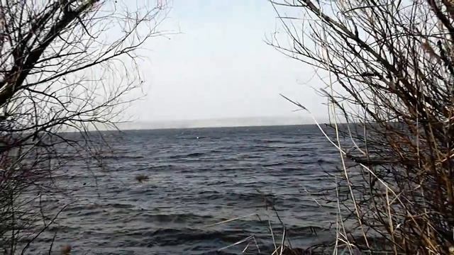 Волгоградское море, Приморск, март 2023 года смотреть онлайн
