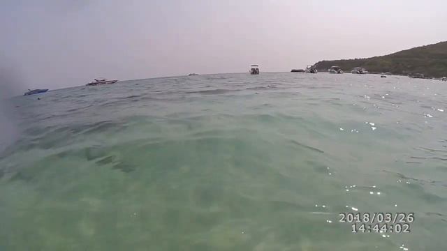 Паттайя, подводный мир и Обезьянки с Острова КоЛан, Пляж Монкей Бич / Таиланд смотрите на ютуб смотреть онлайн