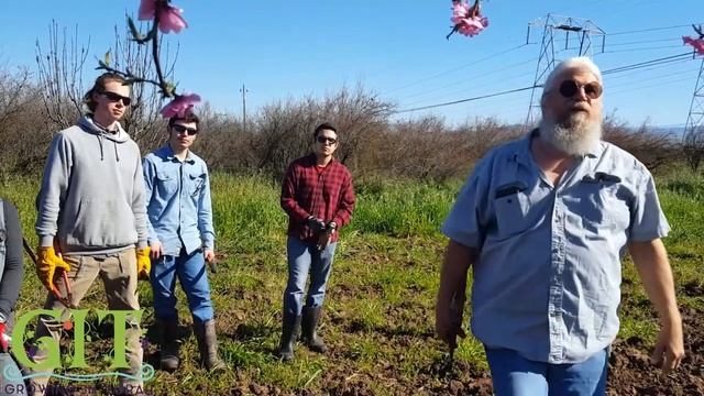 Learning to Prune Fruit Trees pt 1 смотреть онлайн