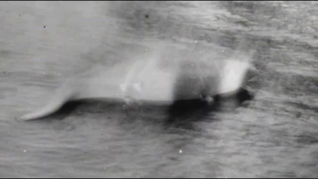 Loch Ness Monster: The First Sightings смотреть онлайн