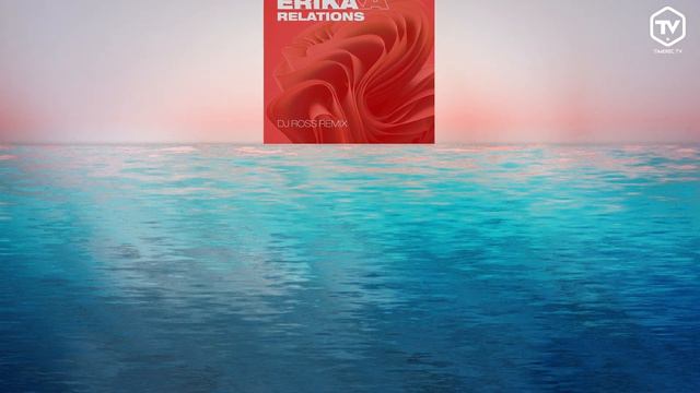 Erika - Relations (DJ Ross Remix) (Visualizer) смотреть онлайн