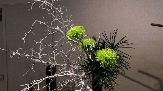 Boston Flower Show 2019 - Ikebana International (Sogetsu School - 1) - March 16 смотреть онлайн