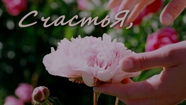 5 августа 2023 г. смотреть онлайн