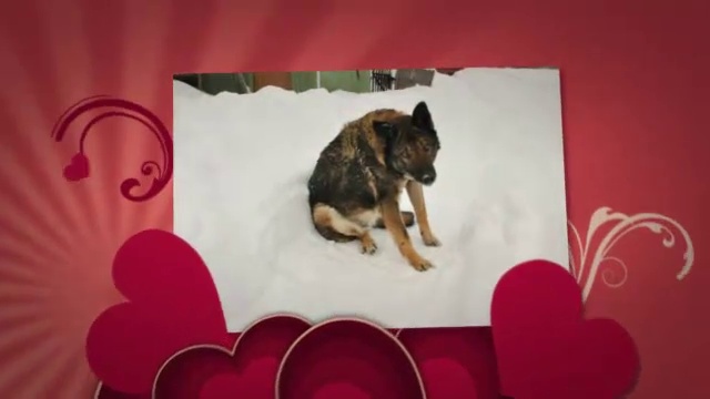 Страна любящих сердец. Видео из фото. смотреть онлайн