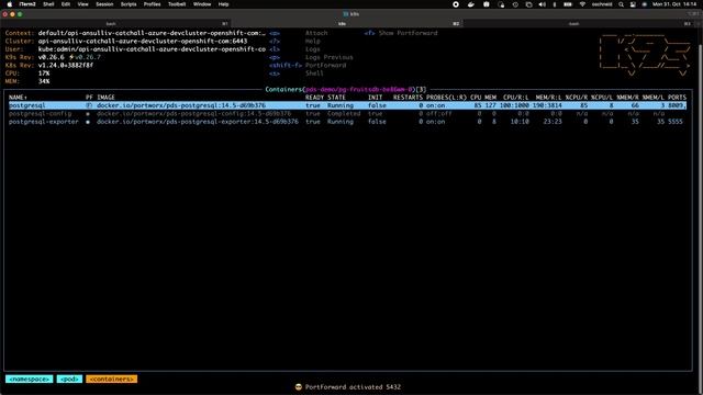 Red Hat OpenShift Container Platform with Portworx Data Services (PDS) - Demo смотреть онлайн