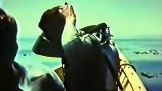 07 Первичное право - Научный институт Муди смотреть онлайн