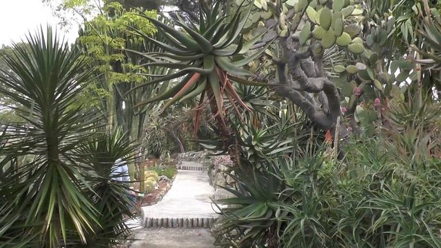 Visiting Villa Ephrussi De Rothschild Gardens