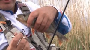 Береговой микроджиг весной: ловля окуня. Мастер-класс "О рыбалке всерьёз" видео 286 HD.