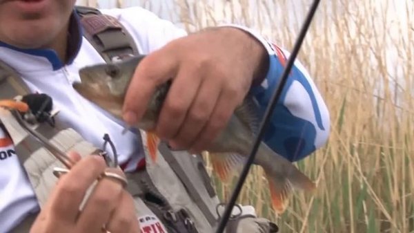 Береговой микроджиг весной: ловля окуня. Мастер-класс "О рыбалке всерьёз" видео 286 HD.