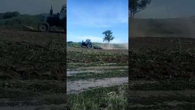 Двойная дисковка летом, плуг дисковый ПЛН 2,3 смотреть онлайн