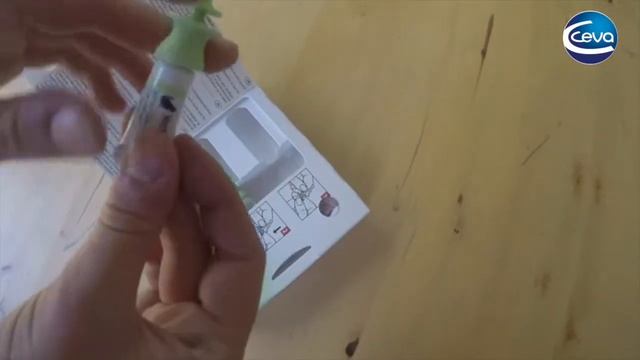 Vectra Felis безопасное и надежная защита вашей Кошки от блох! смотреть онлайн