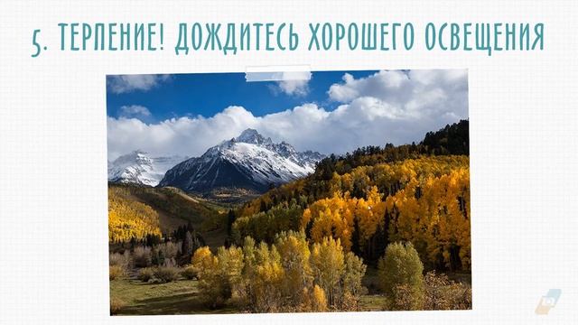 Фотографируем краски осени смотреть онлайн