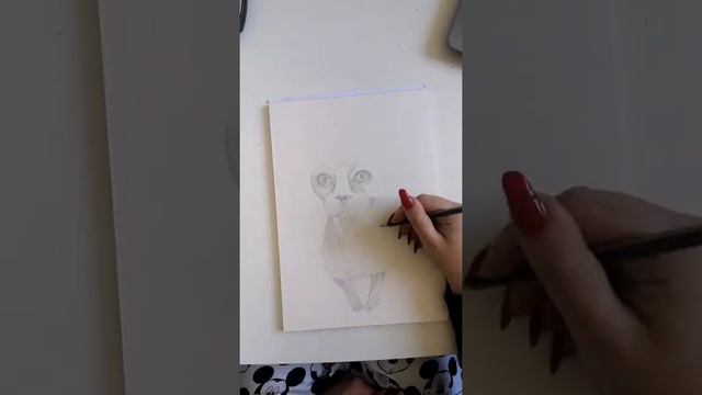 Sphynx cat time-lapse drawing 😻 смотреть онлайн