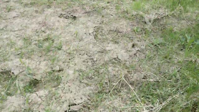 關於堅果 Песчанский, Кадрене, Яцек, Кочерженко, Идеал стартанули в рост в Чернигове. смотреть онлайн