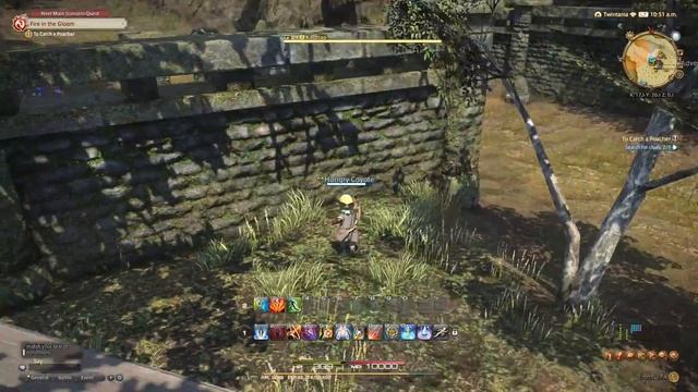 FINAL FANTASY XIV - To Catch a Poacher Quest Guide | FFXIV Archer Quests Walkthrough смотреть онлайн