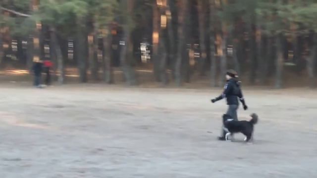 Бордер Рико. Сдача BH смотреть онлайн