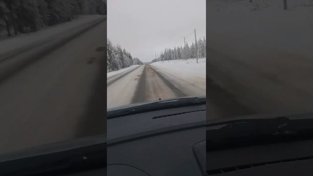 Дорога из Ивало в Киттелю?? смотреть онлайн