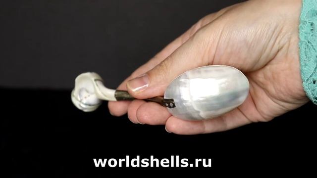 Чайная ложка из ракушек 13 см. смотреть онлайн