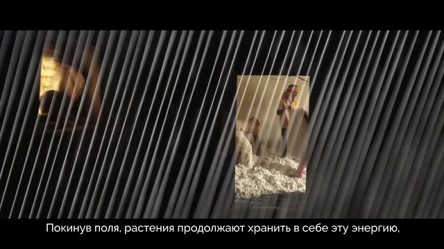 История сумки GROW BEAUTIFUL: кампания WE SUSTAIN BEAUTY
