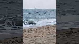 а волны бушуют и плещут.......
