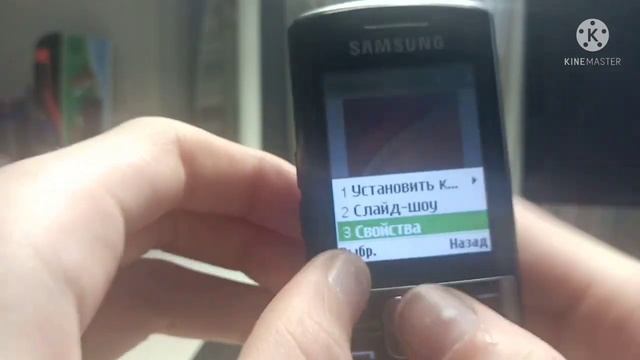 Обзор телефона Samsung GT-C3011.