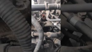 как снять стартер Ниссан Санни 4wd. fb15.