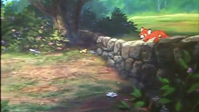 Circle of Life - Foxes смотреть онлайн