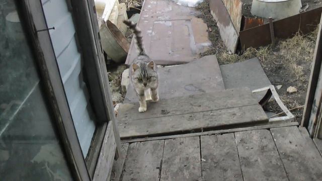 Дача в феврале