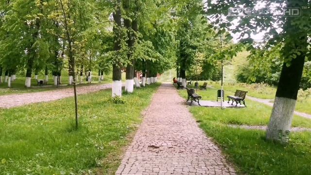 Путешествие по России | Золотое кольцо | Дмитровский кремль | Влог #travelvideo #путешествие