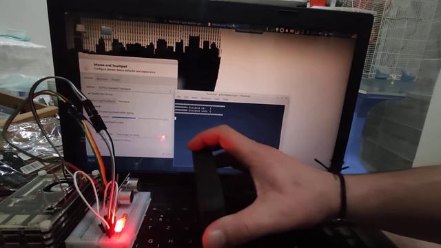 Raspberry pi 3 controls distancer and lights (Python 3.X) смотреть онлайн