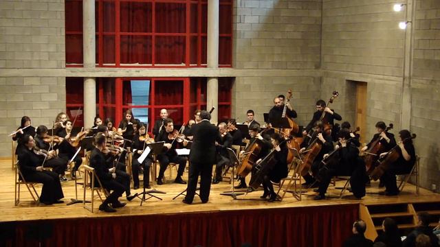 El lago de los cisnes. Swan Lake Op. 20 - Piotr Ilich Chaikovski смотреть онлайн