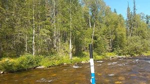 сплав по реке