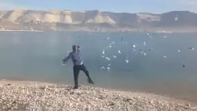 Море-чайки) смотреть онлайн