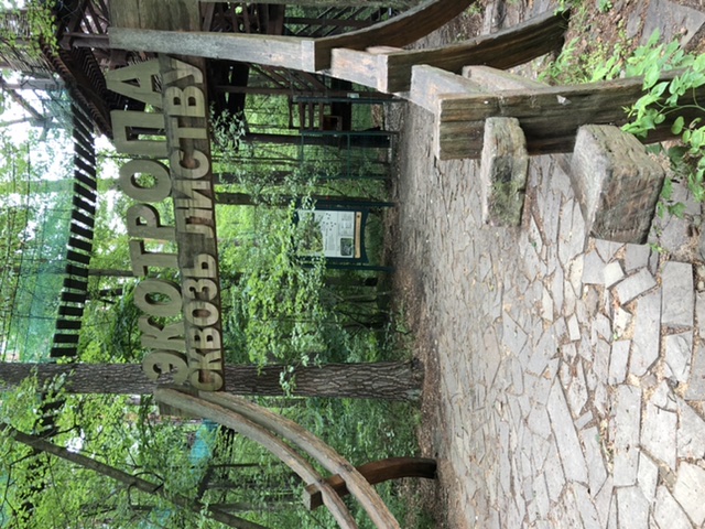 Высотная экологическая тропа «Сквозь листву» Приокско-Террасный заповедник . Часть 1 смотреть онлайн