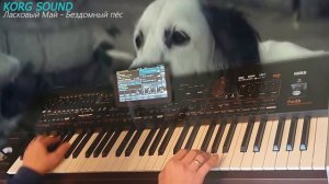 Ласковый Май - Бездомный пёс KORG PA4X