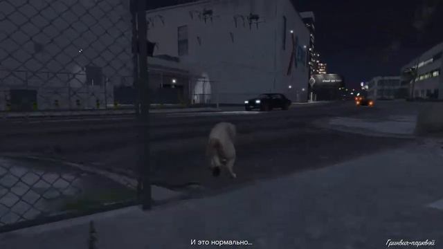 Grand Theft Auto V - Как легко найти одну из 27 лофофор смотреть онлайн