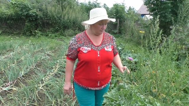 Расторопша (пёстро-остро) целебные травы смотреть онлайн