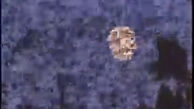 Bracken Cave Bat Emergence смотреть онлайн