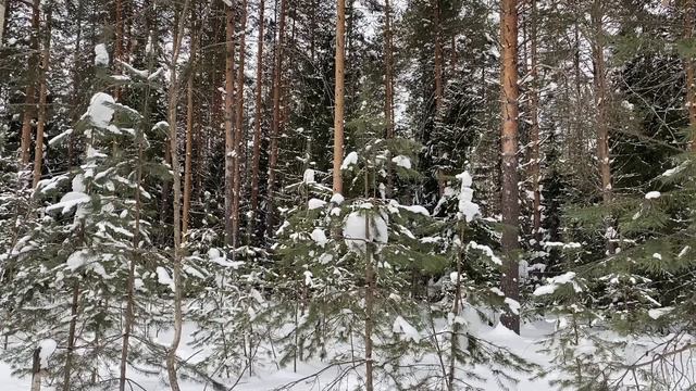 ЗОЛОВКА НАГЛО СМЕЯЛАСЬ... | Истории из жизни. смотреть онлайн