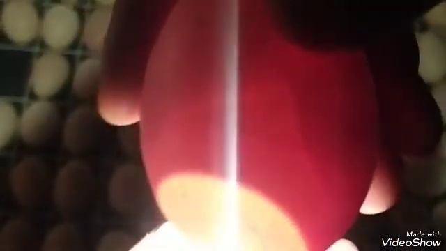 Продолжение...Курочка или петушок? смотреть онлайн