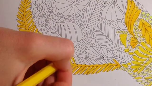 Раскрашиваем вместе.Книга невымышленных существ+вопрос-ответ смотреть онлайн