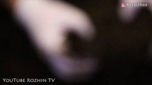 ЛУЧШИЙ СПОСОБ СОДЕРЖАНИЯ ЧЕРВЯ СТАРАТЕЛЯ