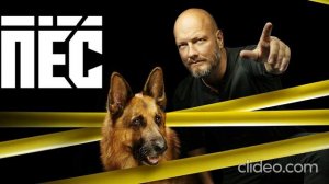 пес саундтрек тема заставки