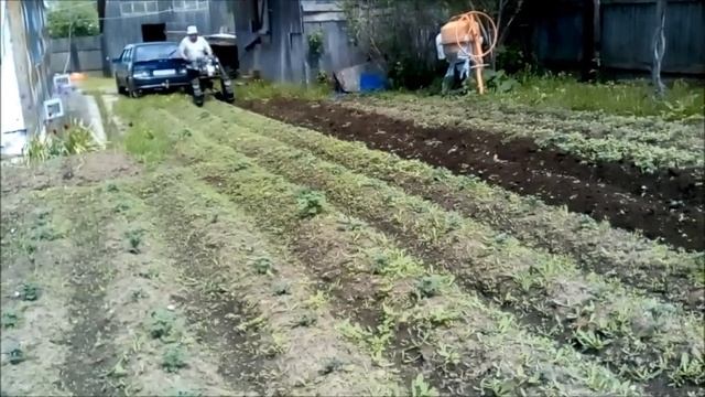 окучивание картофеля мотоблоком с дисковым окучником. смотреть онлайн