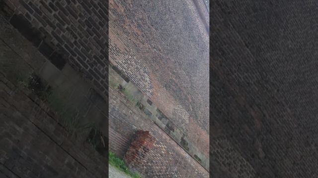 колокола и деревья смотреть онлайн