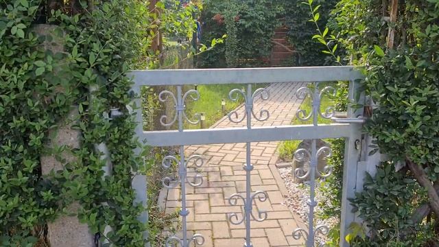 Дача и немцы, правила на дачном участке, цветы, бабочка Монарх смотреть онлайн