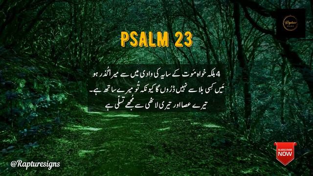 Khudawand Mera Chopan | Zaboor 23 | #jesus | #psalm23 | भजन संहिता @RaptureSigns смотреть онлайн