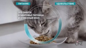 Реклама Purina ONE  " Кормите правильно "