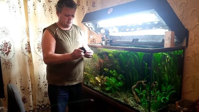 Уход за аквариумами. смотреть онлайн